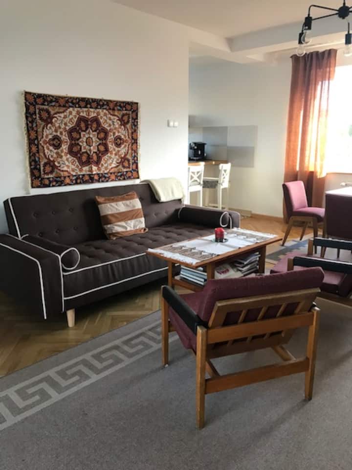 客厅，喀什米尔墙上有一张拉伸式沙发