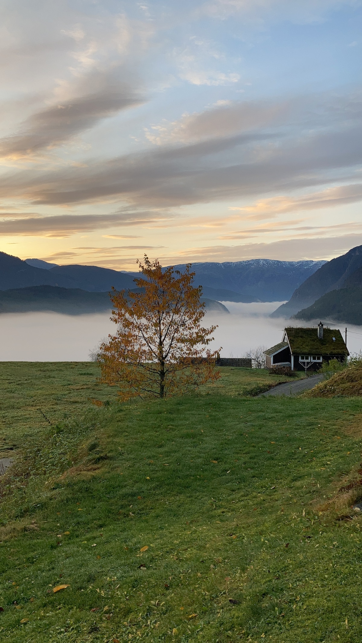 A serene landscape features rolling hills and a vibrant tree with autumn leaves. In the distance, a tranquil fjord reflects the morning light, surrounded by majestic mountains and soft mist. A charming cabin with a green roof is positioned nearby, blending harmoniously with the scenery.