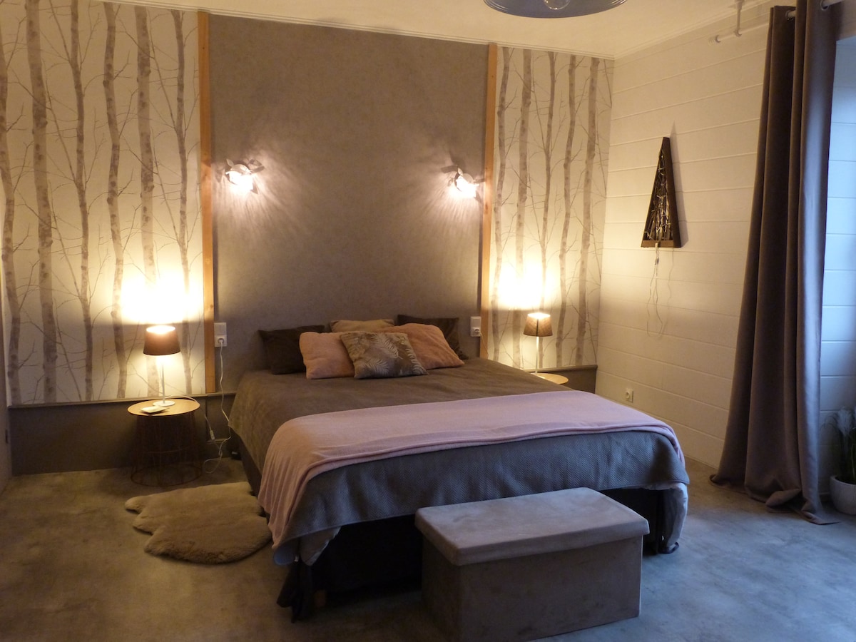 Chambre 1 très spacieuse 