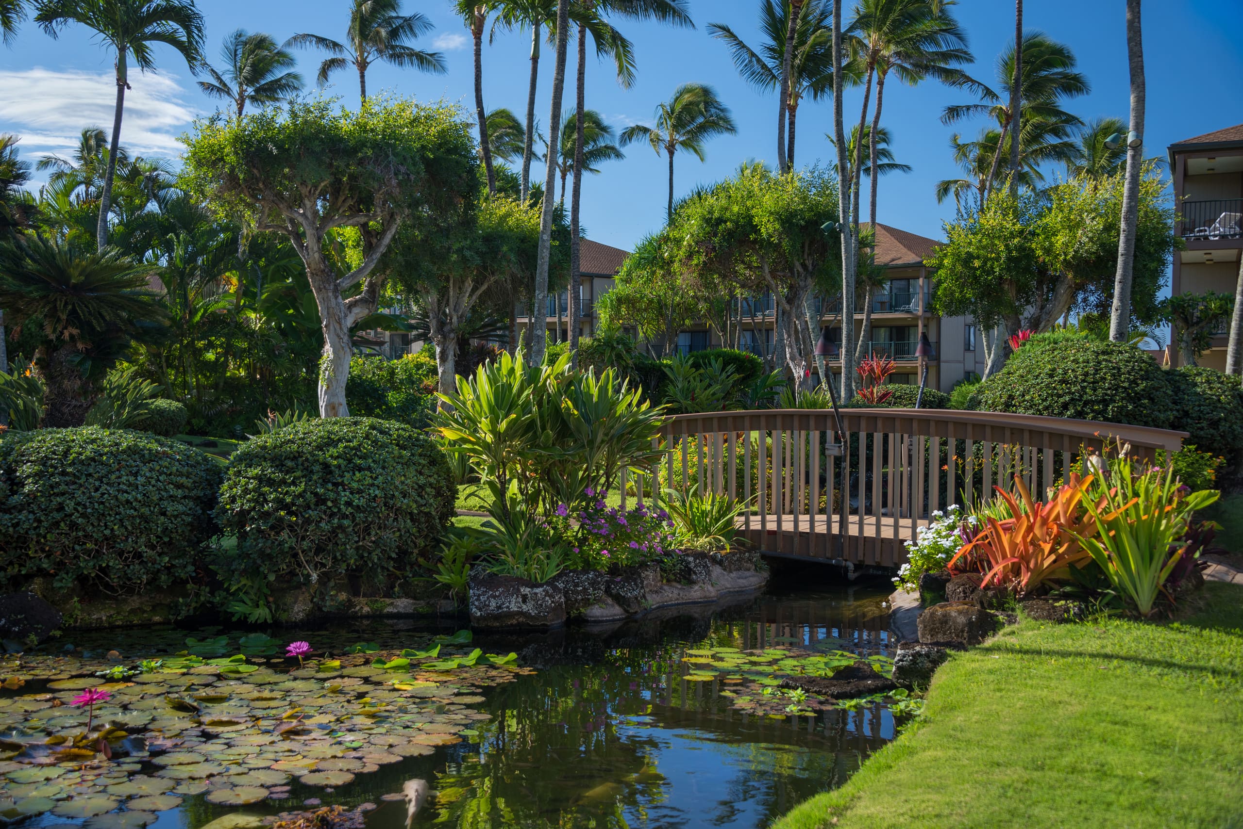 Condo in Kapaa · ★4.89 · 1 bedroom · 2 beds · 1 private bath - Image 18
