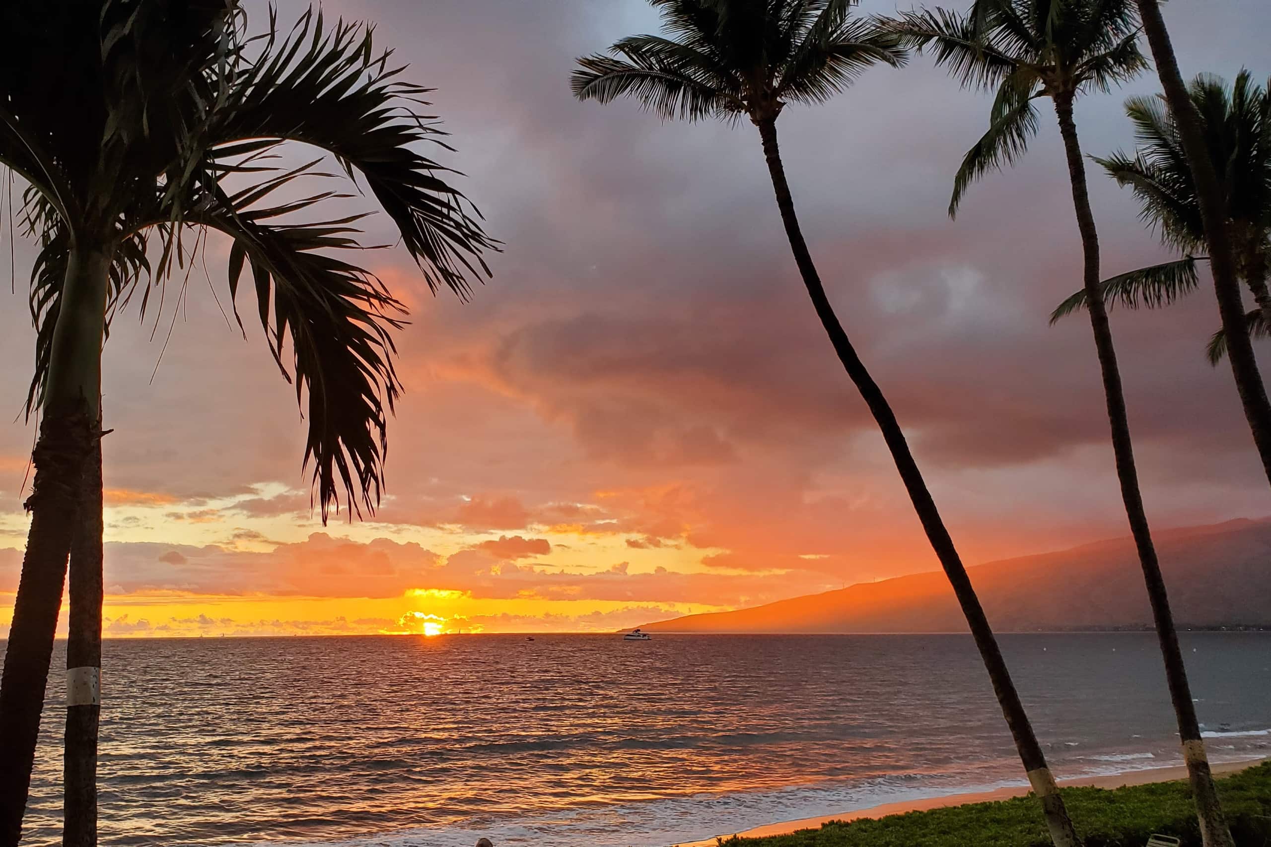 Condo in Kihei · ★4.87 · 1 bedroom · 1 bed · 2 baths - Image 15