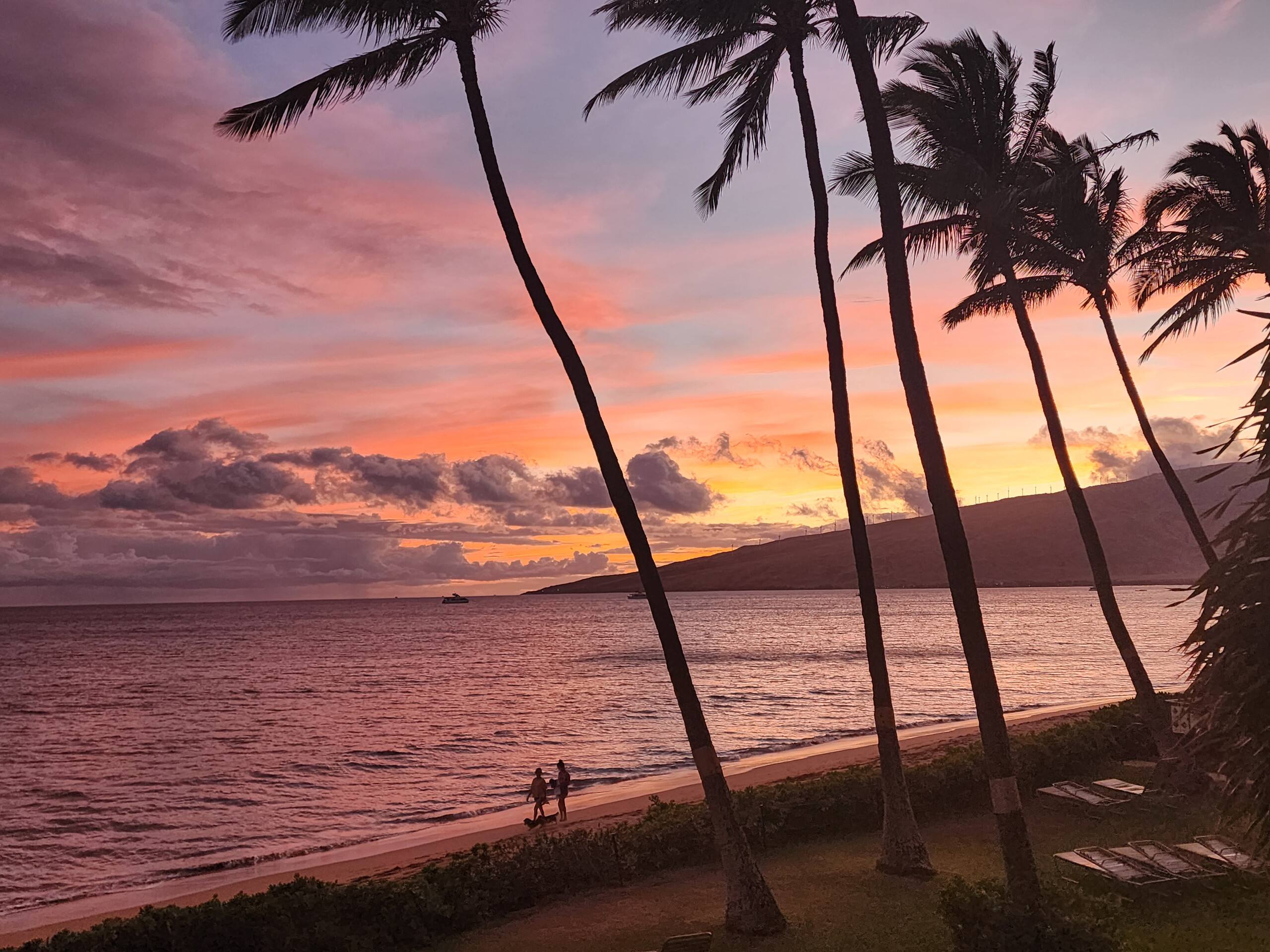 Condo in Kihei · ★4.87 · 1 bedroom · 1 bed · 2 baths - Image 16