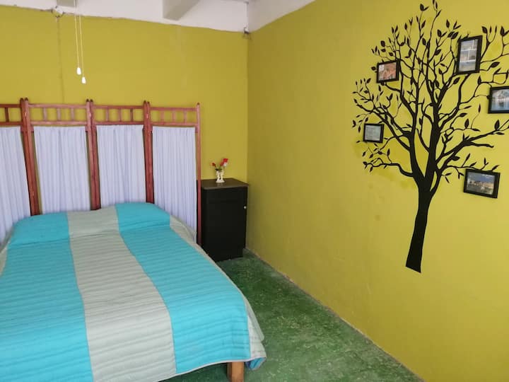 Vintage downtown apartment, San Luis Potosi. Lofts for Rent in San Luis Potosí, San Luis