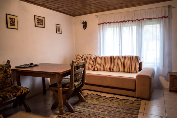 The Beekeeper,s House - Miercurea Sibiului