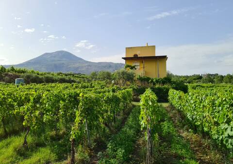 VesuvioInn-Locanda dei Nobili