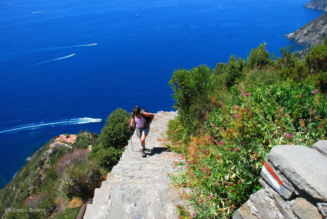 A scenic stairway descends towards a vibrant blue sea, with lush green vegetation lining the stone steps. A person is seen hiking upwards, showcasing the natural beauty of the coastal area. The sparkling water glimmers in the distance, enhancing the landscape.