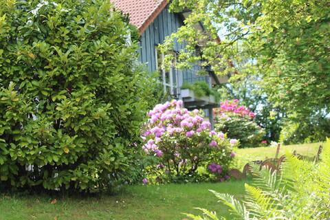 Linde am Rothenberg guest house