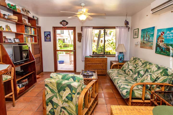Pv 20a Gold Std Beach Pool In Town! - Belize