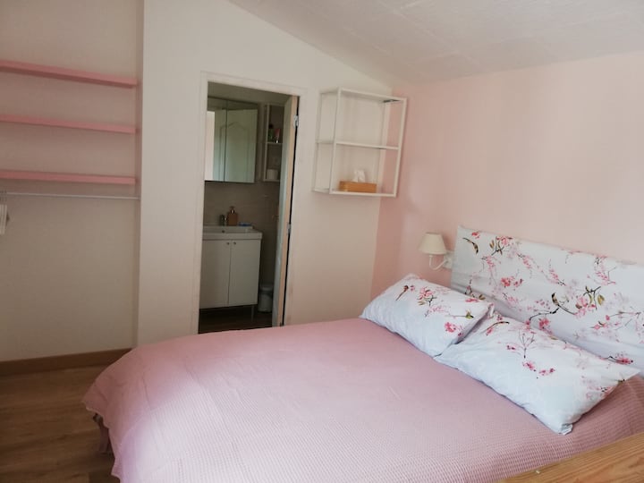 单间公寓卧室、140厘米双人床、淋浴间、马桶和吹风机