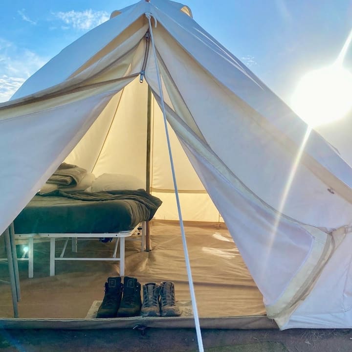 seal seams on tent Seam Grip + SIL Silicone Sealant Model:Rogue Wave Pro AUF 2 RÄDERN GROSS Category:Trekkingrad_Raleigh