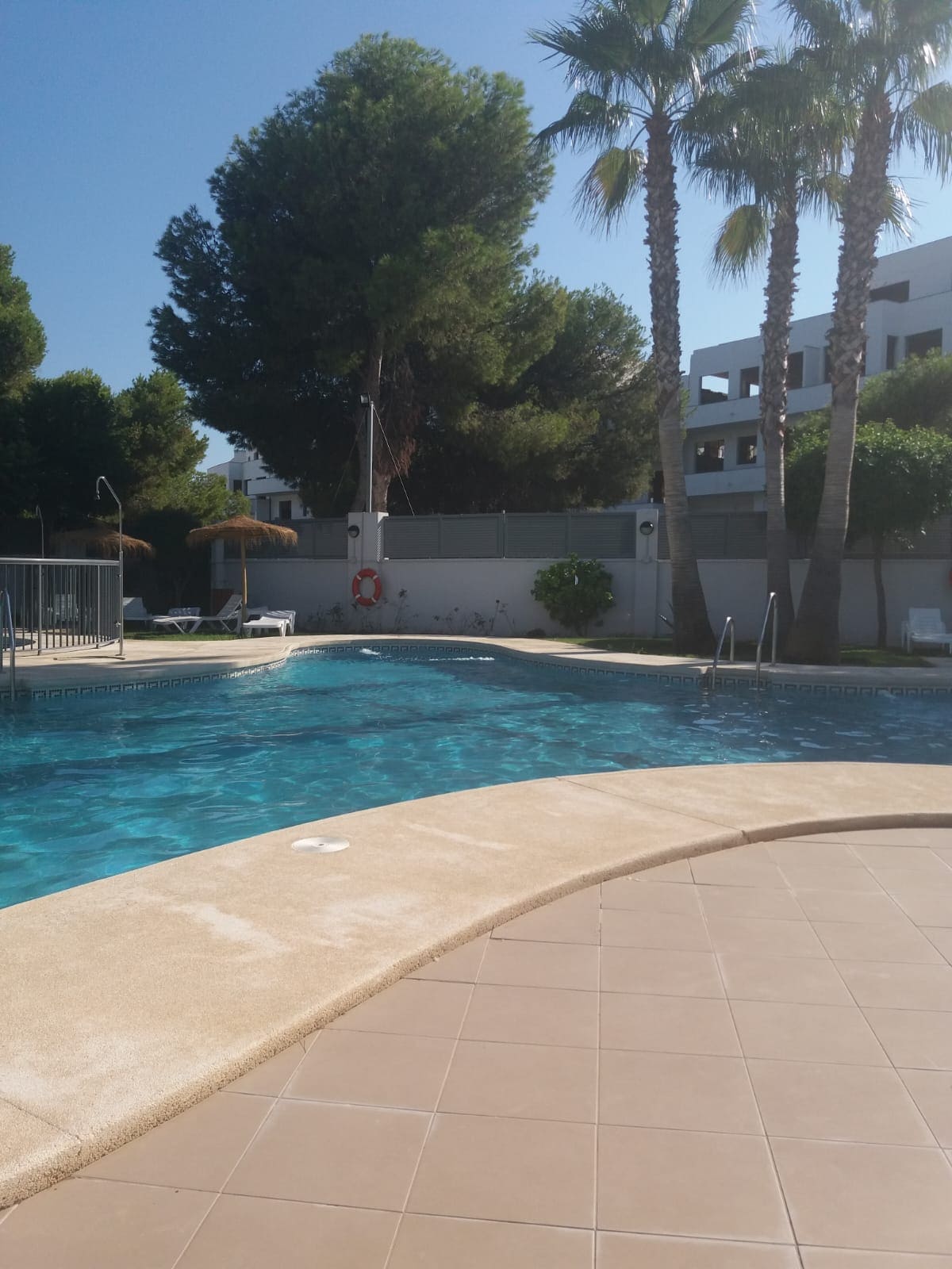 A communal pool area is surrounded by palm trees, creating a serene atmosphere. The pool features clear blue water, and a gently sloping edge leads to the tiled deck. Lounge chairs are positioned nearby, inviting relaxation under the warm sun.