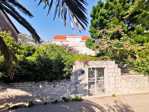 VitaVi - new spacious apartment by the sea