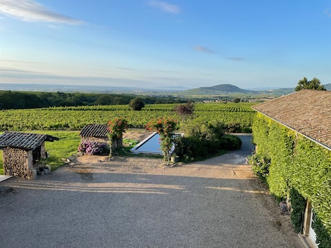 Beaujolais: in the heart of the vineyards and view of Mt Brouilly