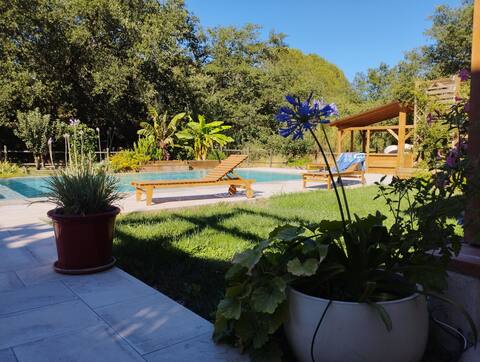 A large swimming pool enclosed by century-old oaks