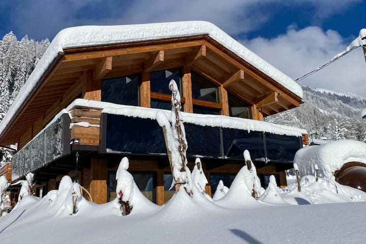 Chamonix #1 ecolodge, mountain, trail,ski paradise - Chalets Chamonix #1 ecolodge, mountain, trail,ski paradise - Chalets