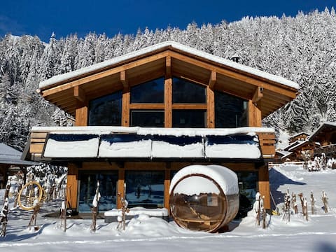 Chamonix #1 ecolodge, mountain, trail,ski paradise