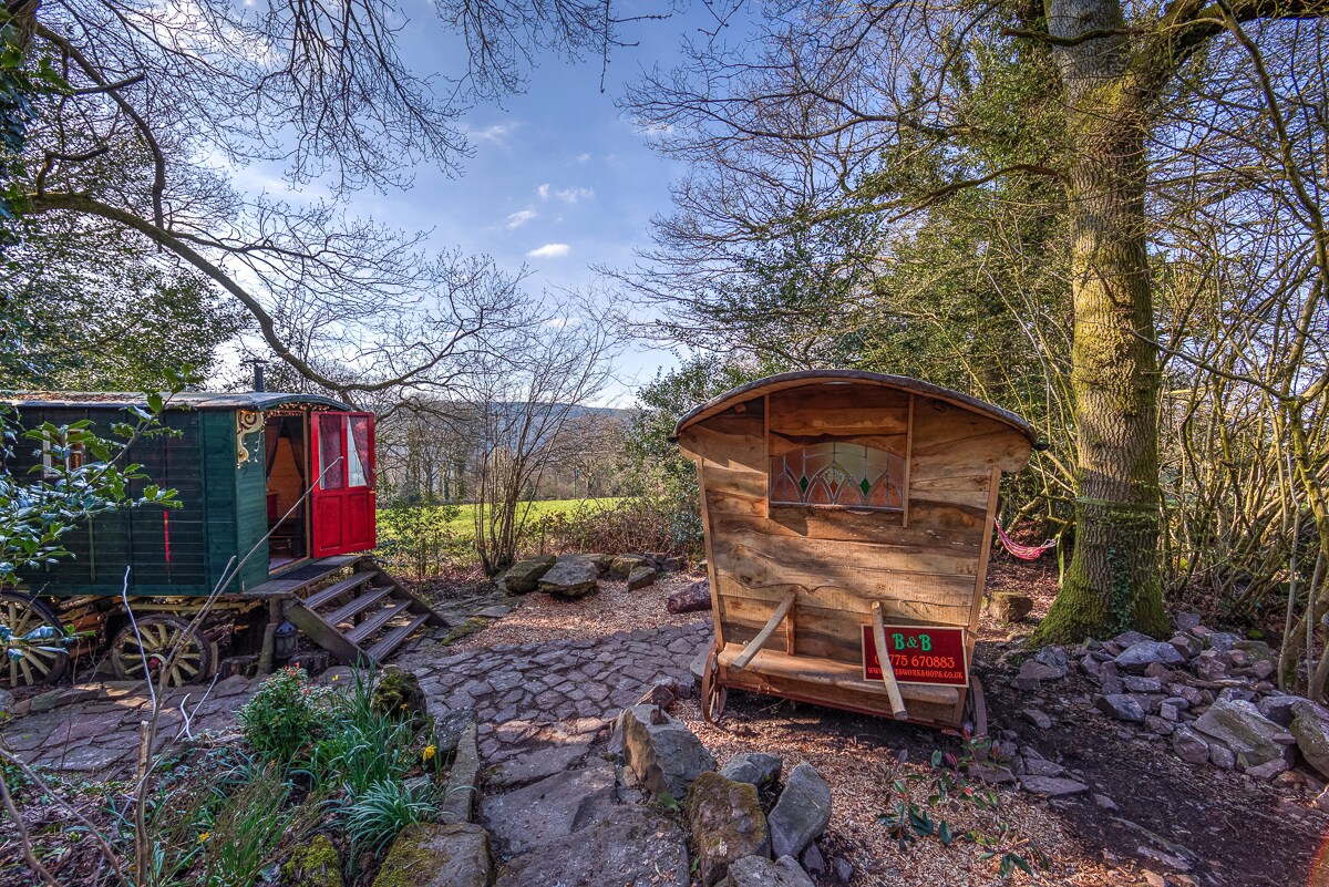 A charming gypsy wagon is nestled among trees, with a path leading to a wooden structure displaying a sign. The scenic backdrop reveals a view of the landscape, providing a serene outdoor setting. Bright red doors of the wagon contrast with the natural surroundings.