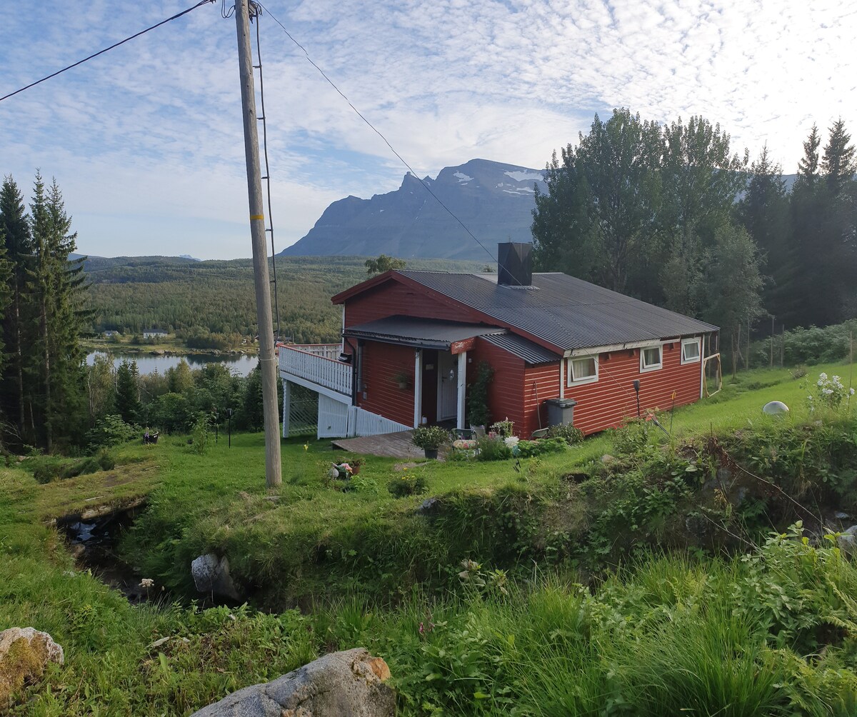 A charming red cabin is set against a backdrop of mountains and greenery. A sloping lawn leads to a small stream nearby, while a wooden terrace provides access to the entrance. The surrounding nature features trees and open spaces, completing a serene landscape.