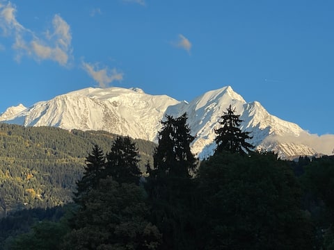 Domancy F2 40 m2 ground floor chalet terrace view Mont Blanc