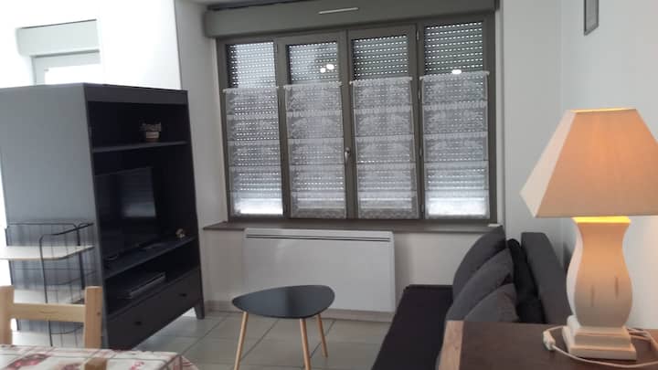 Appartement 48 M² Rdc Au Calme Proche Centre Ville - Mont-Dore
