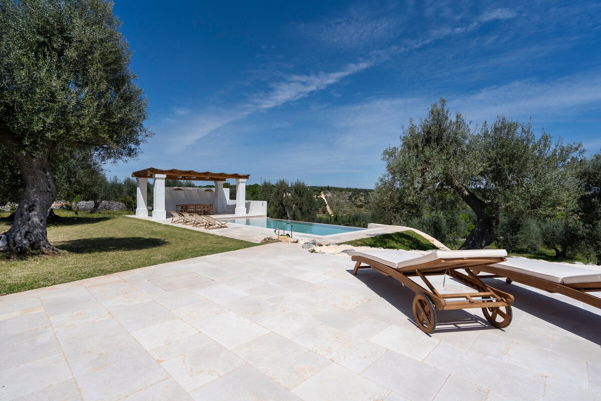 The outdoor area features a spacious terrace paved with light-colored stone, lined with comfortable loungers facing a serene infinity pool. A shaded pergola and dining area are visible, all surrounded by lush olive trees and expansive green landscapes under a clear blue sky.