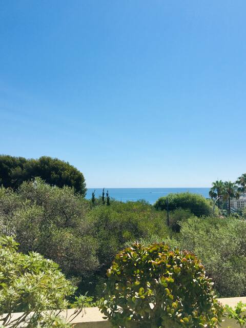 Airbnb performant: Quiet apartment with terrace, sea view, parking à Antibes