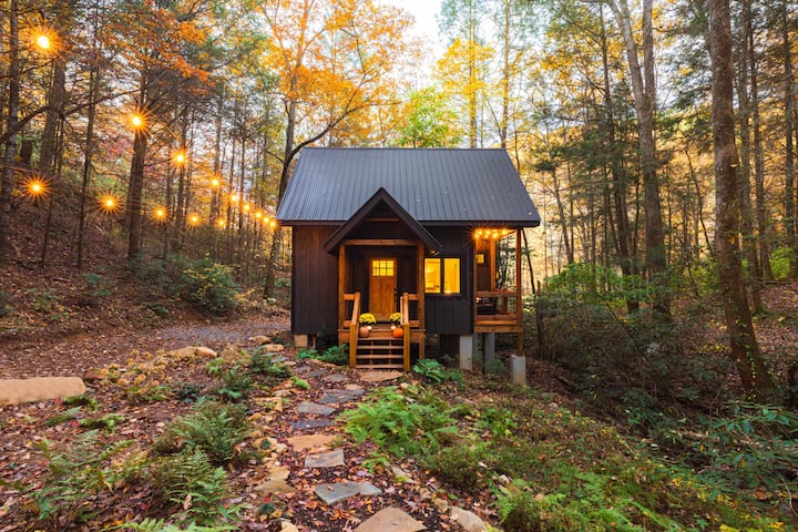 Trout Run, Log Cabins, Cherry Log, United States of America