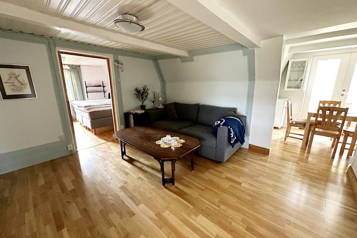 Salon, divan-lit 160 cm. 