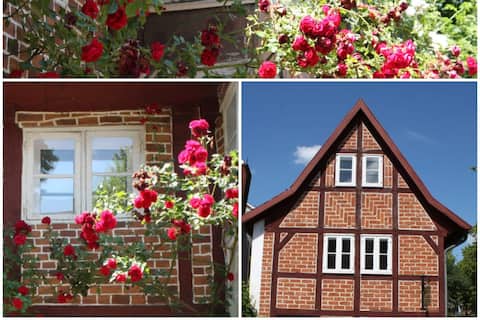 Live in the most beautiful district of Lüneburg