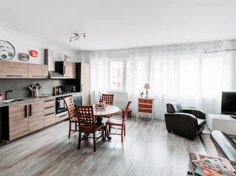 Comfortable apartment downtown
