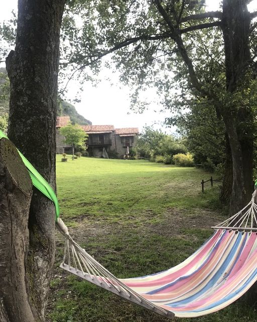 A colorful hammock stretches between two trees, set against a backdrop of a grassy landscape. In the distance, a rustic house with a tiled roof and lush greenery is visible, creating a serene and natural setting.