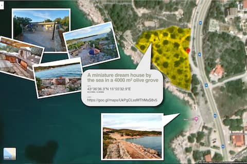 A Robinson house by the sea in a green olive grove