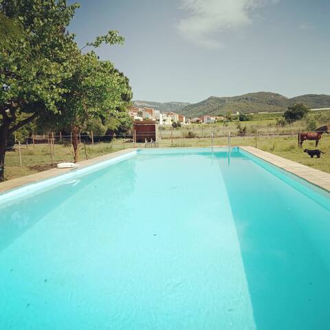Rural accommodation Les Violetes