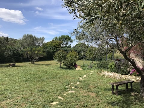 Gite en Provence in the heart of Alpilles