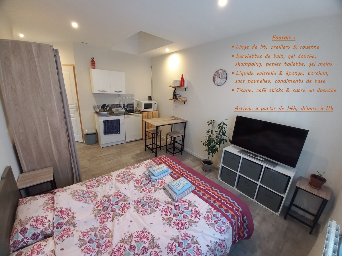 A cozy studio with a spacious bed in the foreground, complemented by vibrant textiles. The kitchenette is equipped with essential appliances, including a microwave and a small fridge. A television is positioned against the wall, with additional items visible on shelves nearby.
