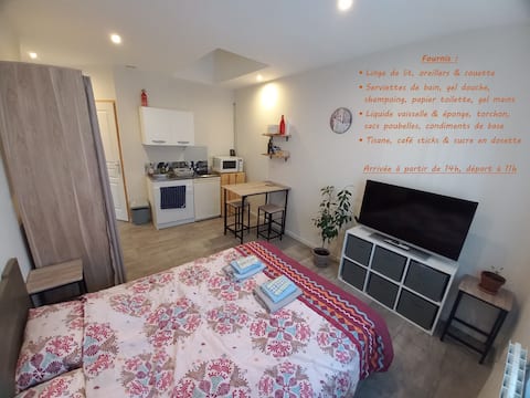 Cozy studio in the heart of the Nantes vineyard