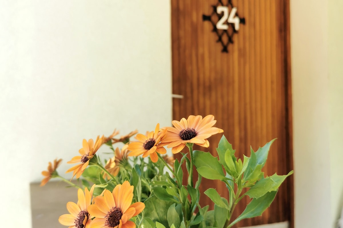 A close-up of vibrant orange flowers in a planter, situated near a wooden door. The door is marked with the number '24' and features a simple patterned design, contrasting with the light-colored wall behind it.