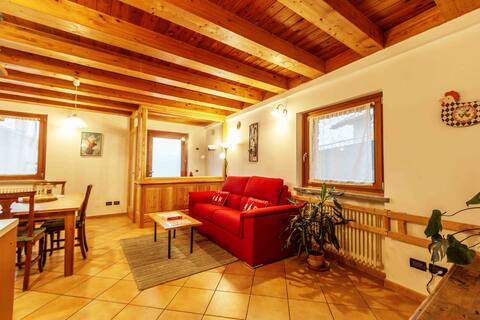 Apartment, garden & barbecue (Casa Alpina-Sarre)