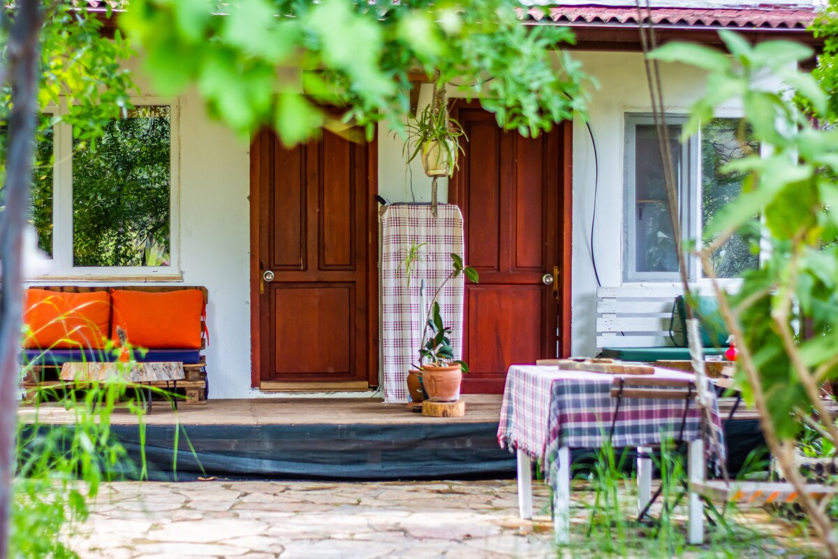 The outdoor area features a patio with a checkered tablecloth-covered table and two wooden chairs. Two wooden doors lead to separate entrances, while potted plants and seating adorned with orange cushions enhance the natural surroundings. Green foliage frames the scene, providing a serene outdoor setting.