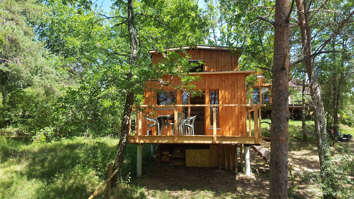 A wooden cabin is set among lush greenery, featuring a wraparound deck with outdoor seating. The structure is elevated on posts, surrounded by trees, creating a secluded feel. Large windows allow natural light to fill the interior, enhancing the connection to the natural surroundings.