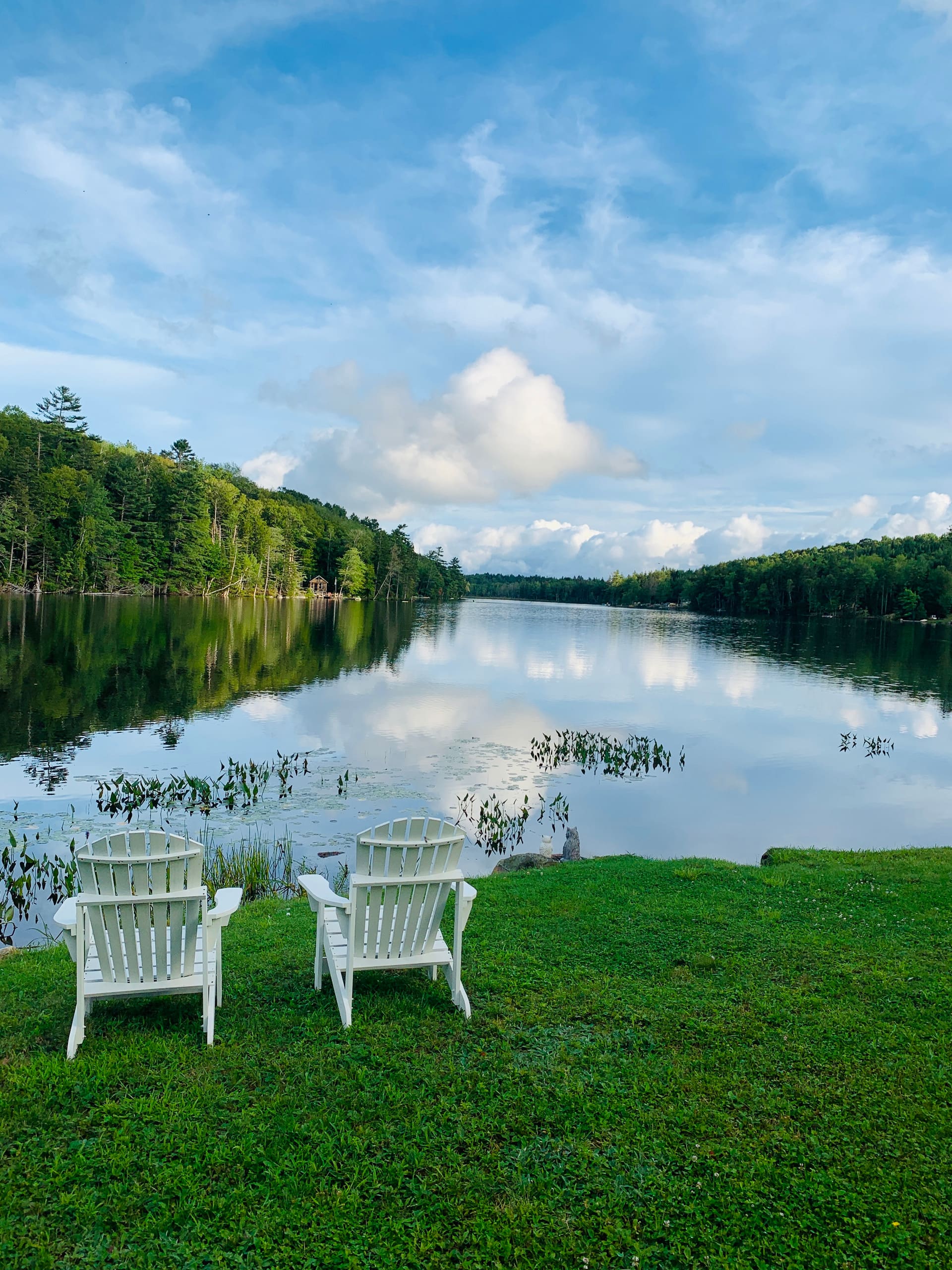 Lovely Times Cottage - A Chester lakeside retreat — photo 5