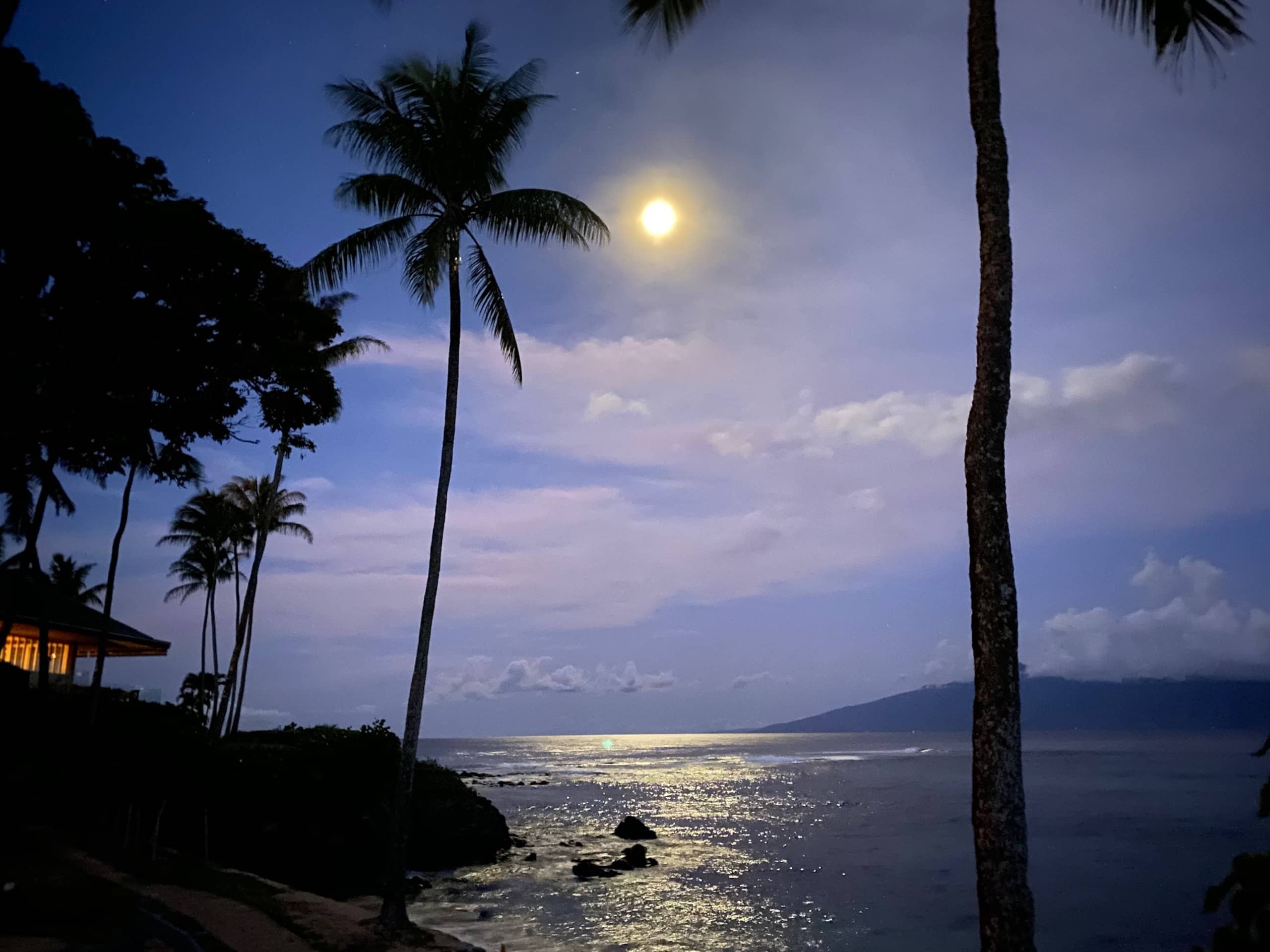 Condo in Lahaina · ★4.97 · 1 bedroom · 2 beds · 1 bath - Image 45
