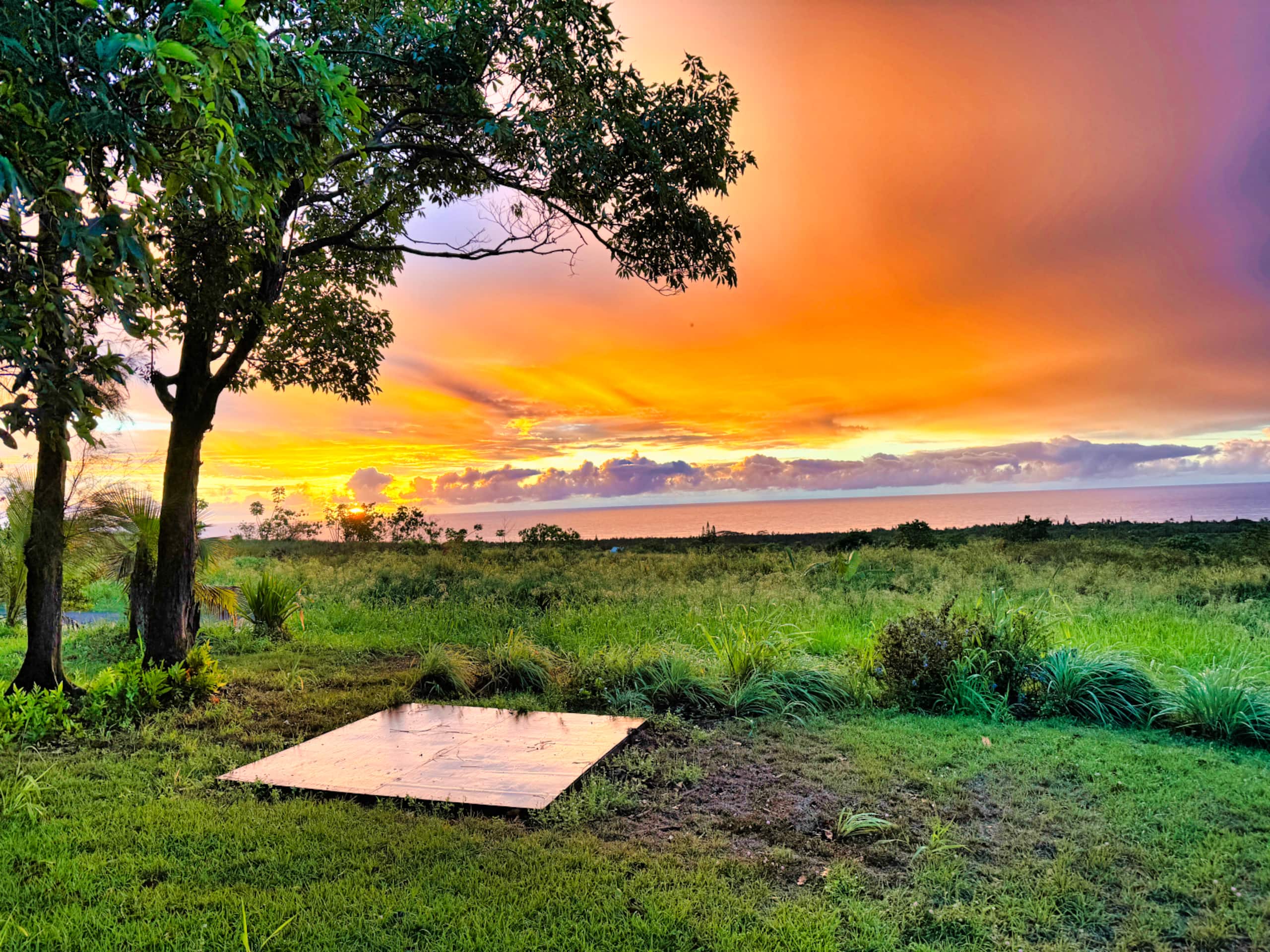 Sweet Cabin with Amazing Ocean Views - Photo 2