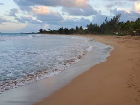 Top Airbnb: Beachfront large Pent House | private terrace in Palmer