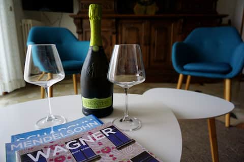 Successful Airbnb property: The 9 Muses Apartment in Desenzano Del Garda