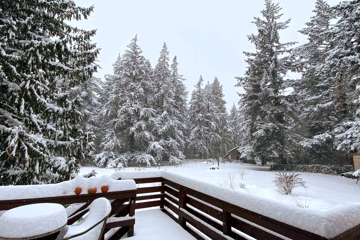 A private upper-floor deck is seen blanketed in fresh snow, surrounded by tall Fir and Cedar trees. Snowflakes gently fall over the peaceful backyard, creating a serene winter landscape. The railing offers a natural wood finish, contrasting with the white snow and the muted tones of the surrounding trees.