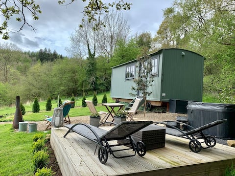 Escape into Nature - Woodpecker