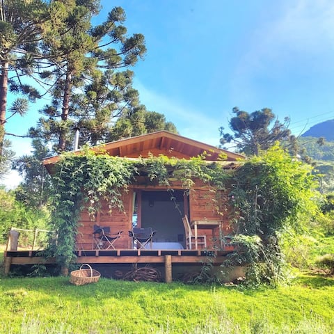 Chalet in the Olives - Arbo Hut