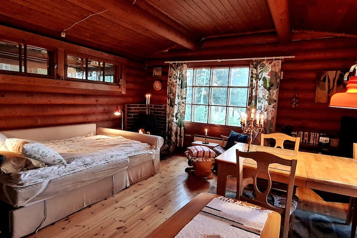 Kitanda cha sofa sebuleni kwa kweli ni chenye starehe sana, na ni rahisi kupanga kwa ajili ya kulala. Upana wa sentimita-140. Pia kuna kitanda cha inflatabe chenye starehe cha kushangaza kinachopatikana.