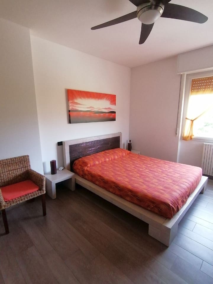 Habitación 1